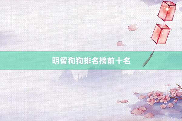 明智狗狗排名榜前十名